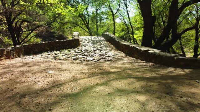 Stone Venetian bridge in the green forests of the mountain Troodos in Cyprus in the spring on a sunny day.