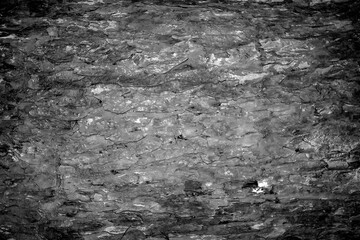 black and white background