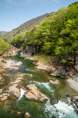 新緑の龍王峡（栃木県日光市）