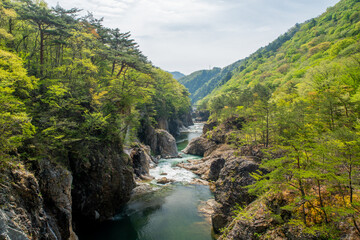新緑の龍王峡（栃木県日光市）