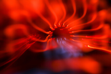 Blur background,car dashboard bokeh light pattern texture.