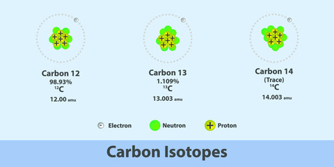 C Carbon Isotopes structure chemistry Infographic - Protium, Deuterium and Tritium - chemical Useful diagram showing protons, neutrons and electrons, for education, lab, physics and science lecture. - obrazy, fototapety, plakaty
