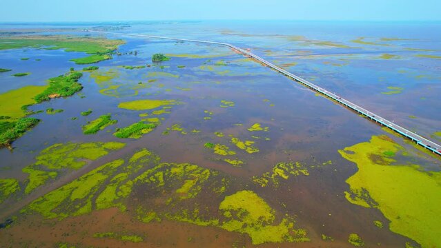 Aerial view over large wetlands in Thale Noi, Phatthalung, Thailand. 4K drone
