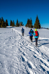 Fototapeta na wymiar Group Of Sporty Hikers With Snowshoes On A Trail Through Winter Landscape On Mountain Rax In The European Alps In Austria