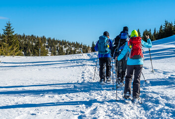 Group Of Sporty Hikers With Snowshoes On A Trail Through Winter Landscape On Mountain Rax In The European Alps In Austria