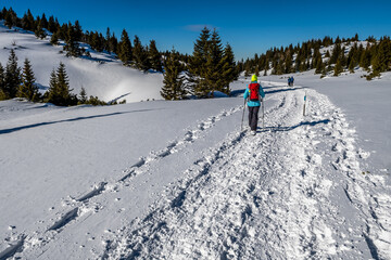 Sporty Hiking Woman With Snowshoes On A Trail Through Winter Landscape On Mountain Rax In The European Alps In Austria