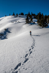 Fototapeta na wymiar Sporty Hiking Woman With Snowshoes On A Trail Through Winter Landscape On Mountain Rax In The European Alps In Austria
