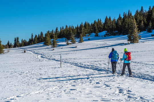 Group Of Sporty Hikers With Snowshoes On A Trail Through Winter Landscape On Mountain Rax In The European Alps In Austria
