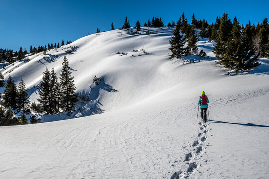 Sporty Hiking Woman With Snowshoes On A Trail Through Winter Landscape On Mountain Rax In The European Alps In Austria
