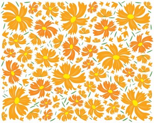 Symbol of Love, Illustration Background of Bright and Beautiful Orange Cosmos Flowers or Cosmos Bipinnatus Isolated on White Background.
