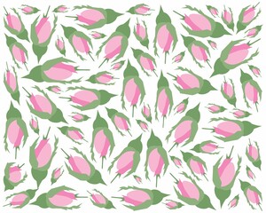 Beautiful Flower, Illustration of A Beautiful Pink Damask Roses Background.
