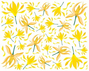 Beautiful Flower, Illustration Background of Yellow Champaka or Magnolia Champaca Flowers with Green Leaves on Tree Branch.
