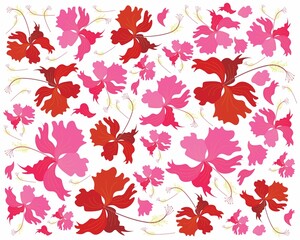 Beautiful Flower, Illustration Background of Fresh Red and Pink Hibiscus Flowers, Rose Mallow or Bunga Raya. 
