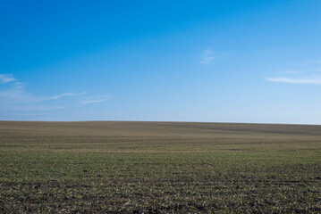 Ploughed field and blue sky as background.