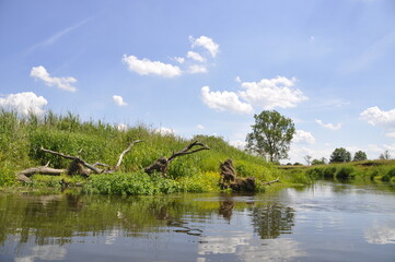 rzeka Liwiec, woda, przyroda, wiosna, wypoczynek,