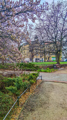 Old city architecture in Poland country in the Szczecin city