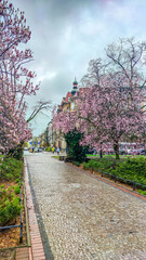 Old city architecture in Poland country in the Szczecin city