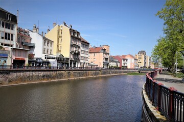 Fototapeta premium Savoureuse