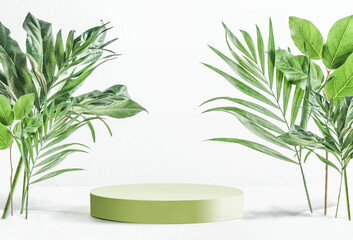 Modern product display with green podium and tropical leaves  at white background. Showcase for beauty product. Front view with copy space.
