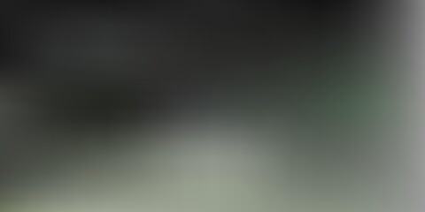 Light gray vector abstract blur texture.