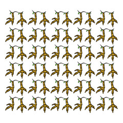 chicken feet pattern