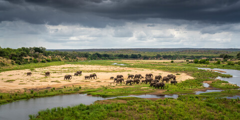 Fototapeta na wymiar Elephant herd seen from the Letaba Bridge in the Kruger National Park, South Africa 