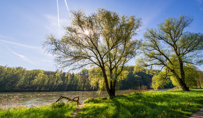 Obraz premium Hiking path along the Donau River to the Monastery Weltenburg during Spring time