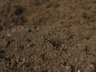 soil in the ground