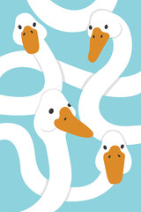 Vector illustration. White geese portrait on a blue background. Four geese with long intertwined necks. Bright print for design, decoration, postcards, posters and so on.