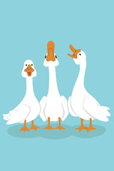 Vector illustration. White geese portrait on a blue background. Three geese stand side by side and honking. Bright print for design, decoration, postcards, posters and more.