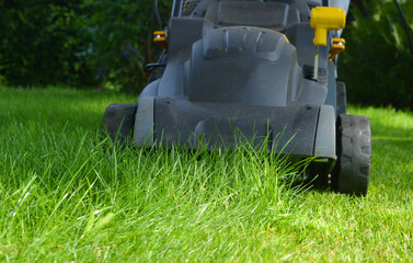 Trimming the gras in the garden with a motor blazer lawn mover