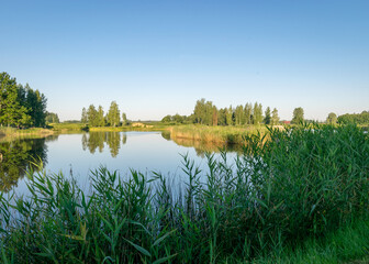 summer landscape by the lake, reeds and grass in the foreground, calm lake water, beautiful reflections in the water, summer