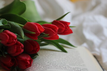 Red tulips lying on a book blooming in spring
