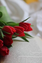 Red tulips lying on a book blooming in spring