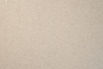 Grunge paper texture. Recycled blank kraft cardboard