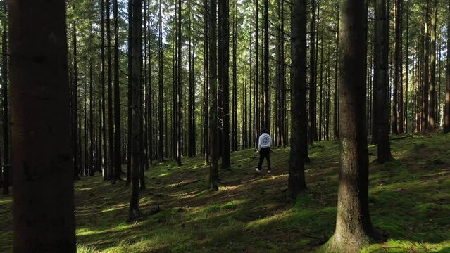 Aerial view of a person walking in the forest, Ardennes, Belgium.