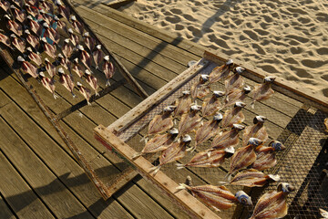 Many sun-dried flatfish on racks on the beach in Nazaré, Portugal