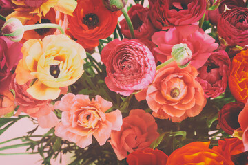 Top view image of colorful buttercup flowers composition