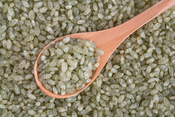 Close-up of green raw bamboo rice grains 