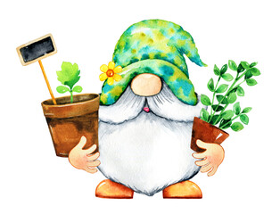 Watercolor gardening, horticulture cartoon gnome, seedling, gardener tools set. Spring growing, cultivating dwarf illustrations isolated on white