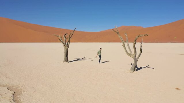 Aerial view of people at Deadvlei, dead trees in the desert in Namibia.