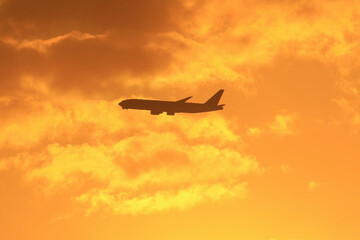 airplane flying in the sky