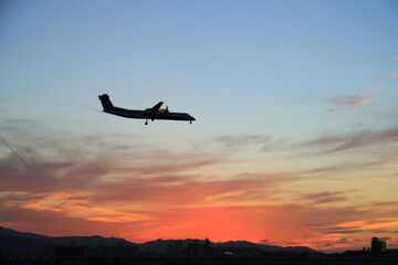 airplane in the sky