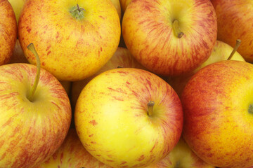 Many ripe yellow-red apples close up as background	