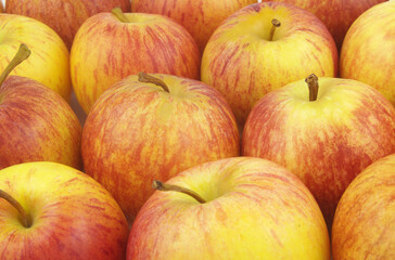 Yellow-red apples background	
