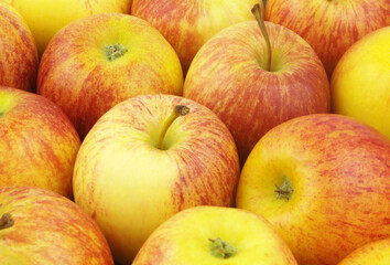 Many ripe yellow-red apples close up as background	