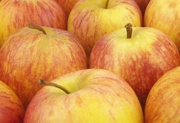 Many ripe yellow-red apples close up as background	