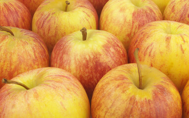 Many ripe yellow-red apples close up as background	