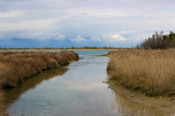 Lagoon landscape. Small canal that flows into the sea. Brussa, Caorle, Italy.