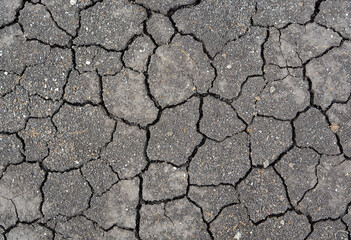 Cracks in the dried soil,Thailand
